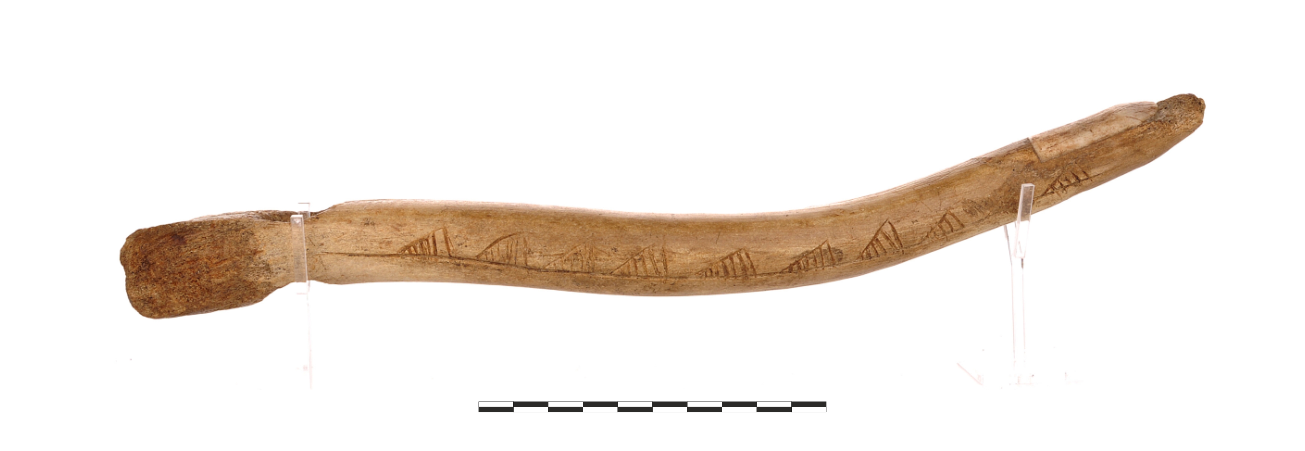 Ornamentowana, tylna część laski, fot. J. Kuriga